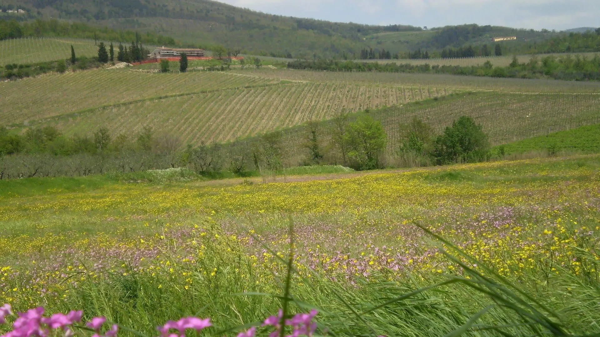 Nido Del Merlo Bed & Breakfast Santomato