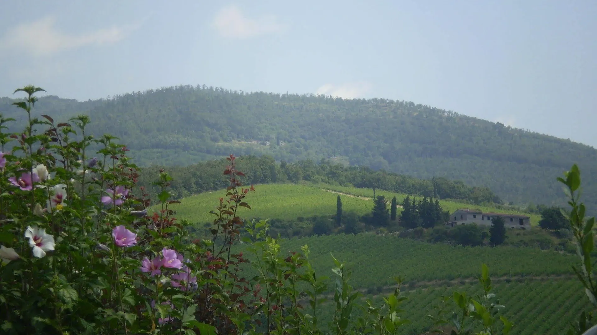 Nido Del Merlo Bed & Breakfast Santomato